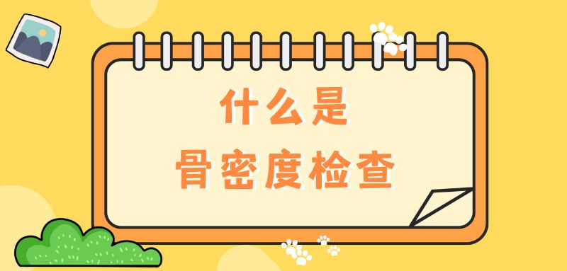 【雙能x線骨密度儀】什么是骨密度檢查？該怎么查？