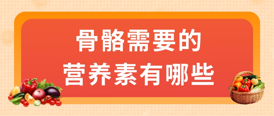 骨骼需要的營養(yǎng)素有哪些？